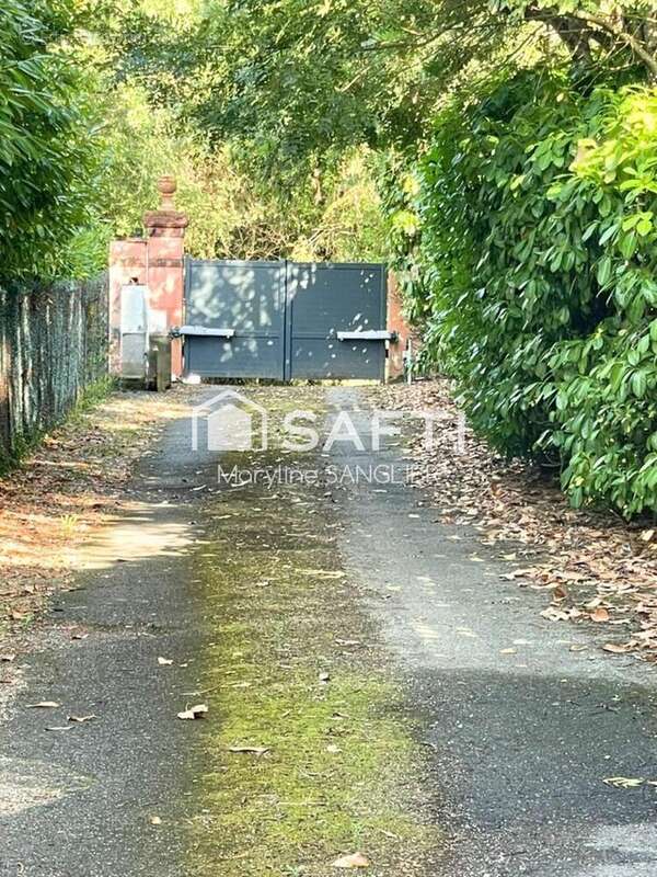 Photo 4 - Appartement à TOULOUSE