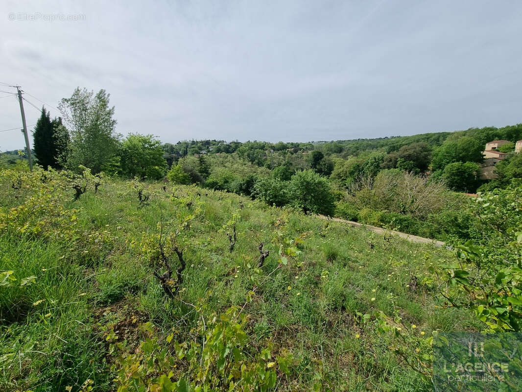 Terrain à CASTANET-TOLOSAN