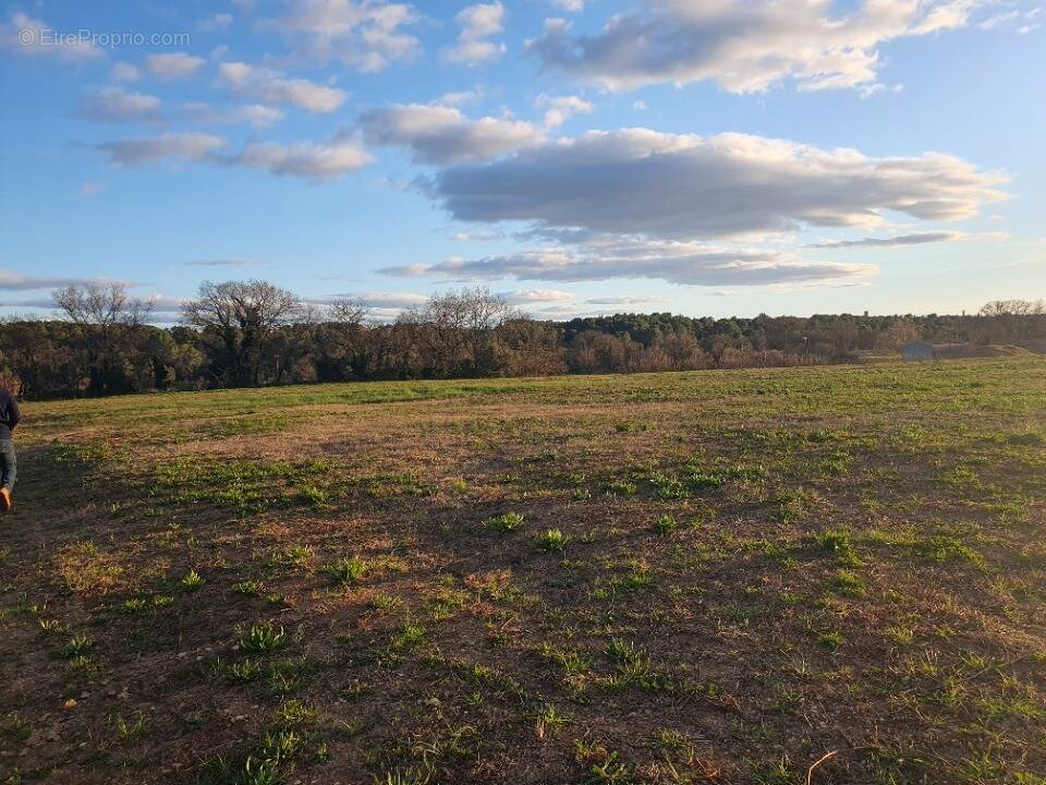 Terrain à GALARGUES
