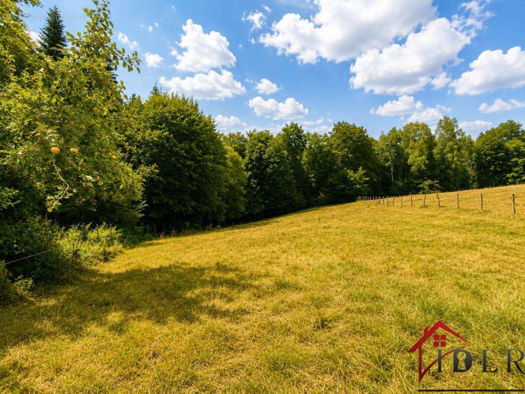 Maison de village - 131 m2 habitables + potentiel 331 m2 - D - photo 21