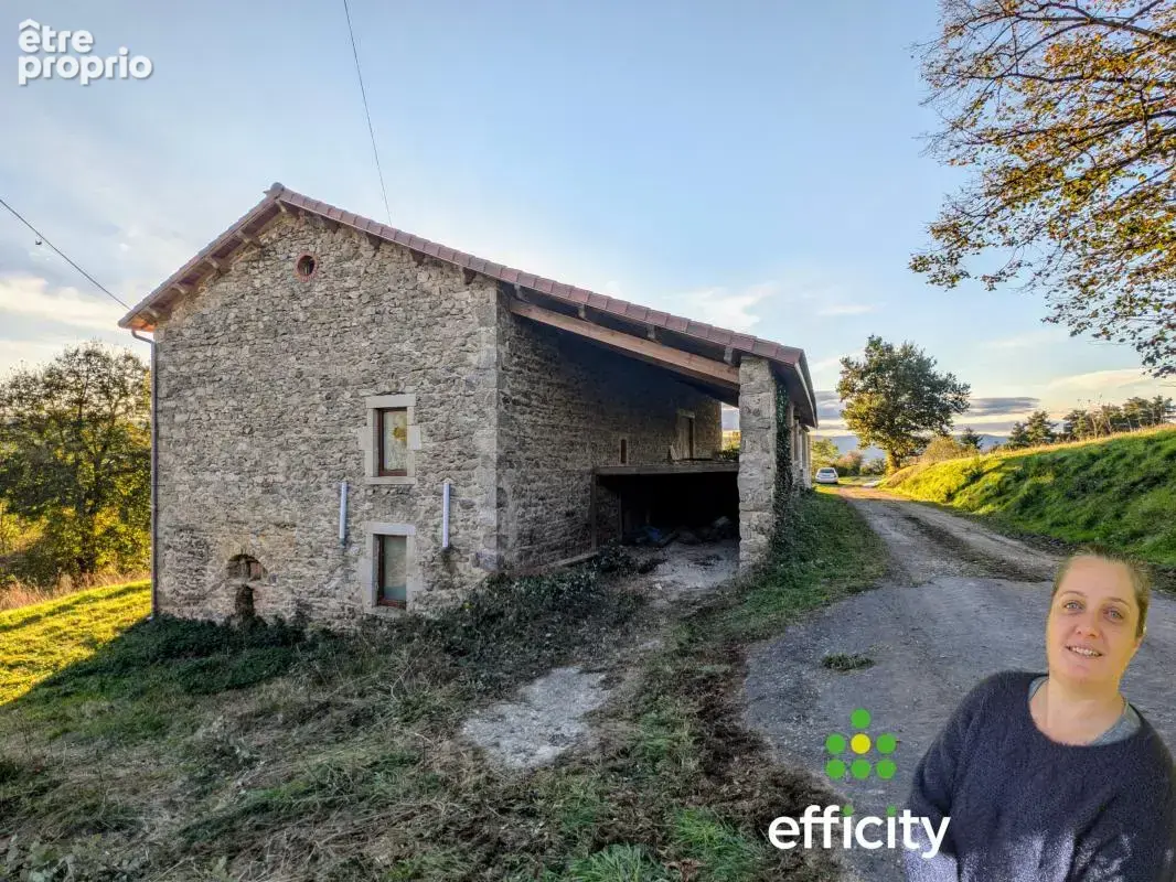 Maison 400 m² à Dore-L'eglise  - photo 6