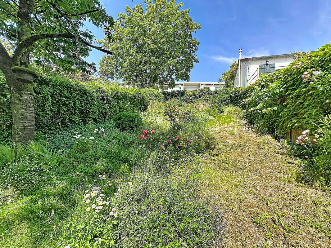 Maison à SURESNES