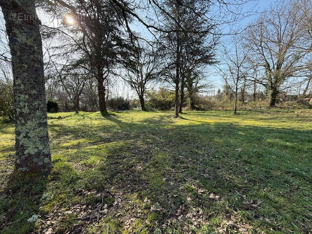 Maison à SAINT-AIGULIN
