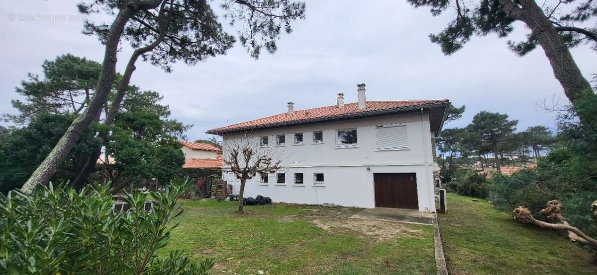 Photo-2024/073034-1-3 - Maison à MIMIZAN