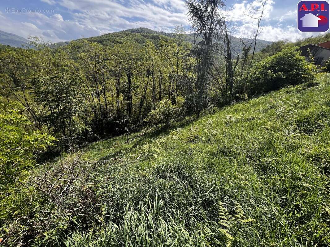 Terrain à FOIX