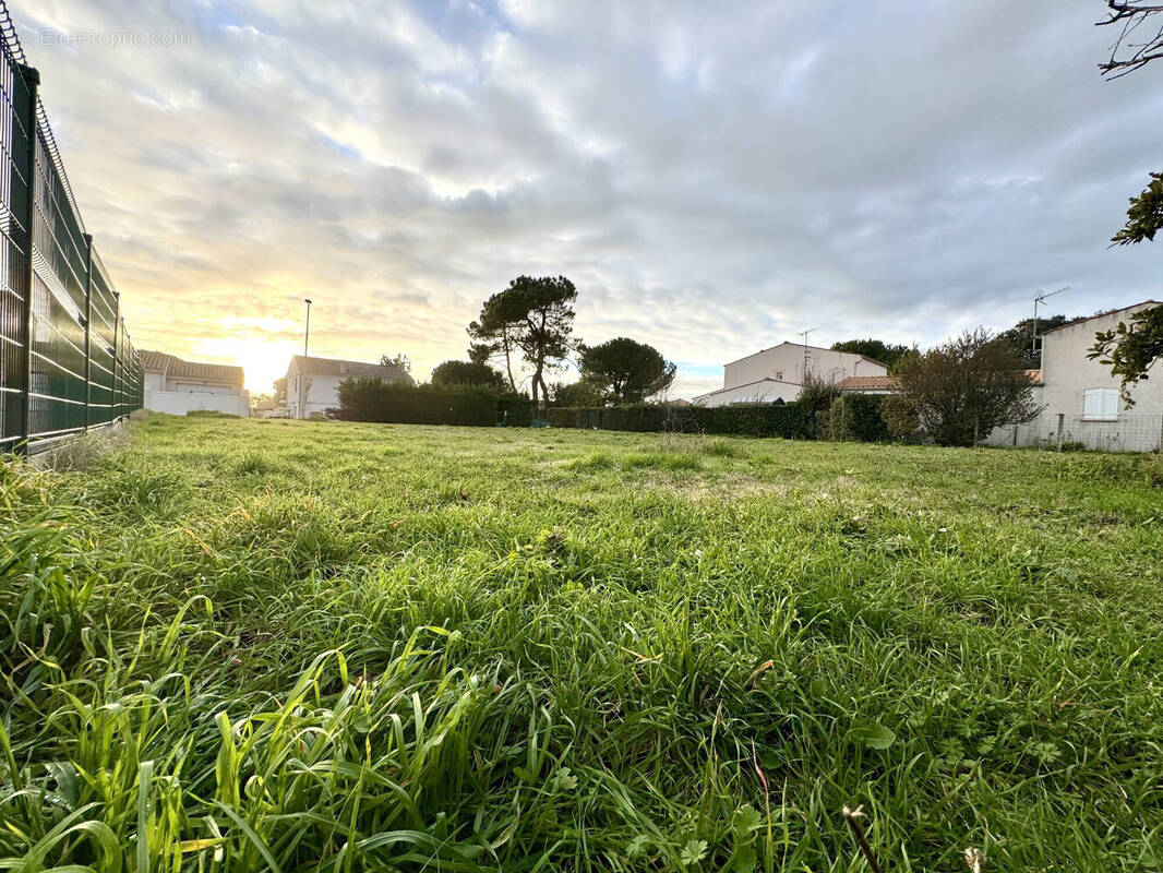 Terrain à VAUX-SUR-MER