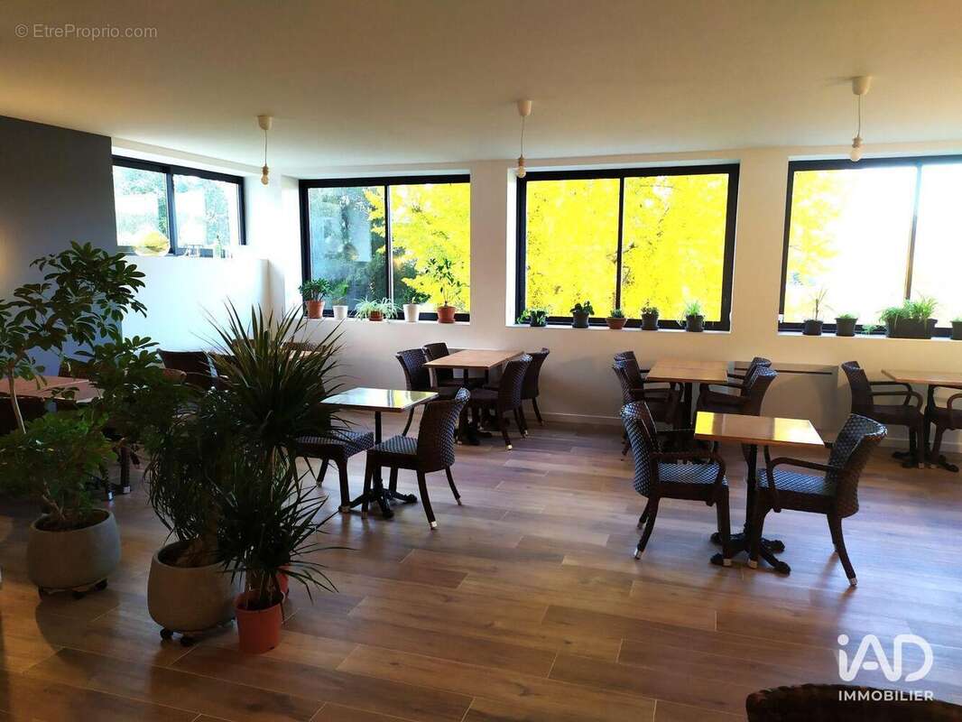 Photo 4 - Commerce à JOYEUSE