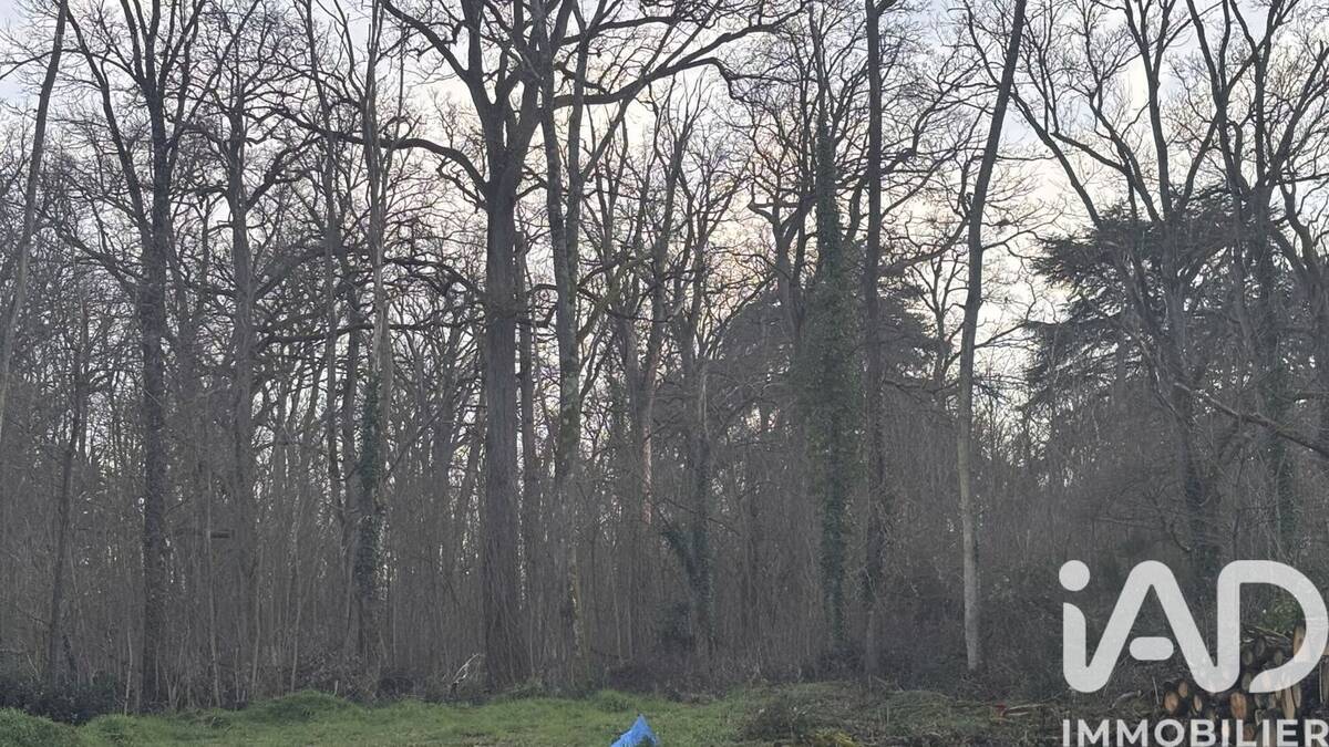Photo 1 - Terrain à SAINT-HILAIRE-DE-COURT