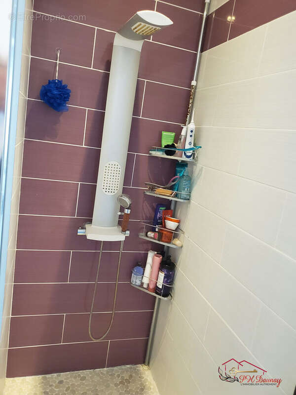 Maison à SAINT-HILAIRE-DE-BRETHMAS