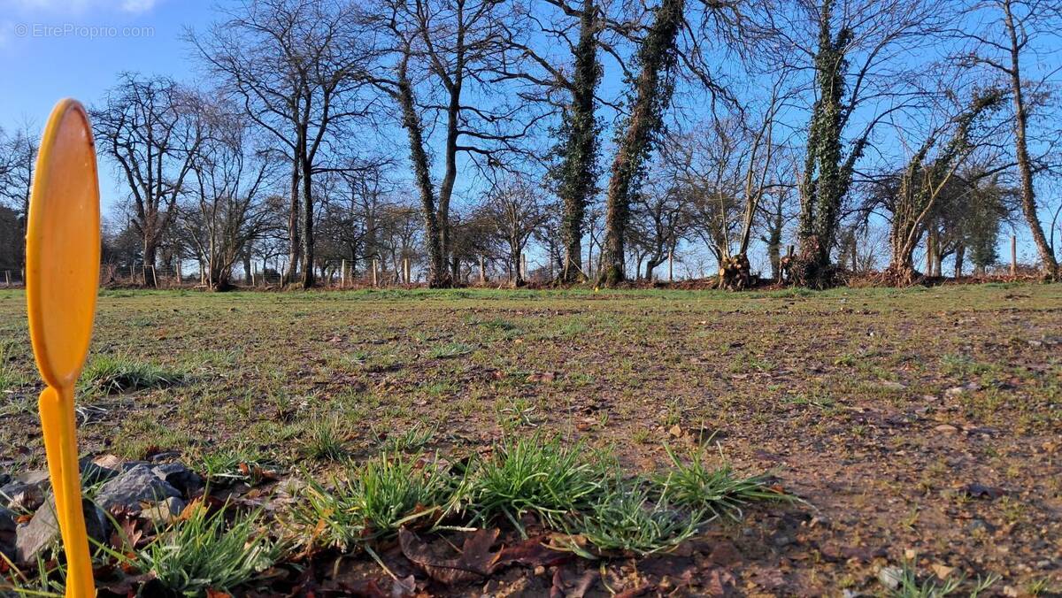 Terrain à BAIN-DE-BRETAGNE