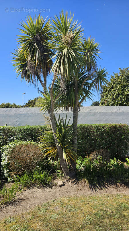 Maison à NOTRE-DAME-DE-MONTS