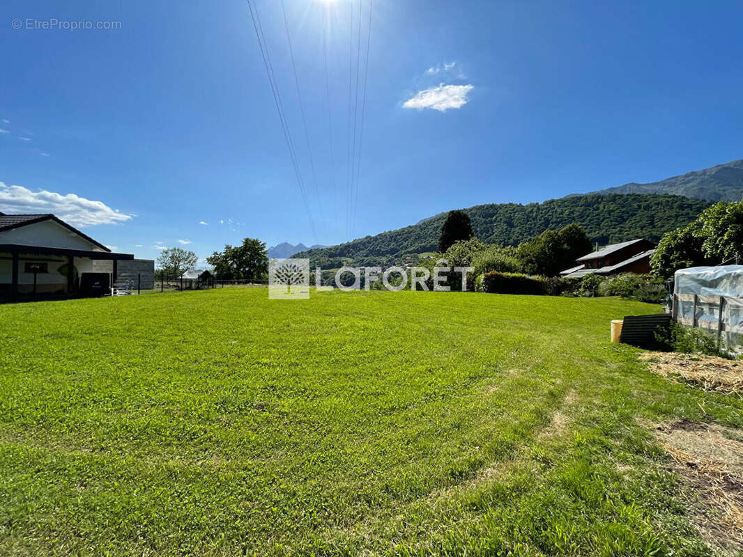 Terrain à CESARCHES