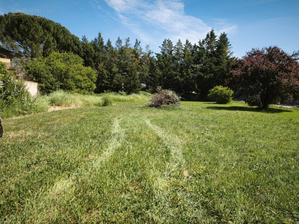 Terrain à SAINT-MAXIMIN-LA-SAINTE-BAUME