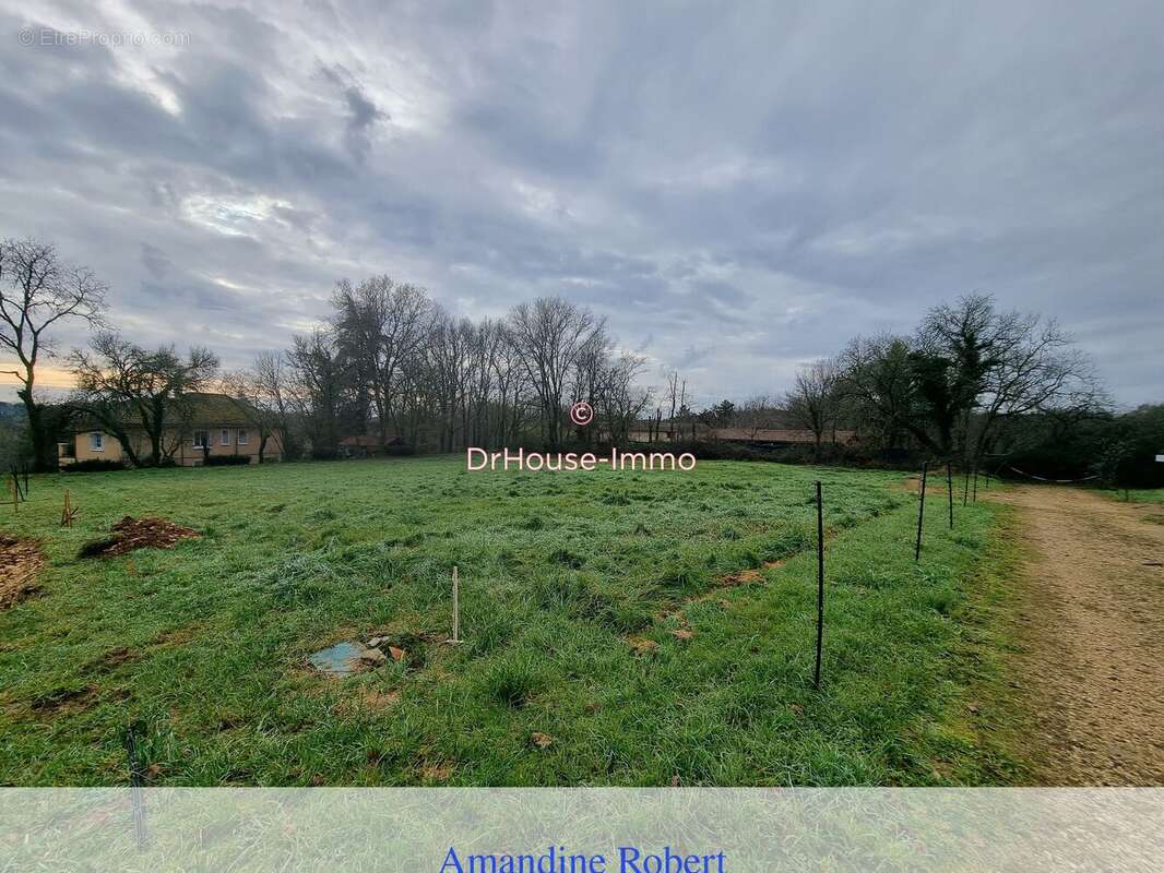 Terrain à SAINTE-ALVERE