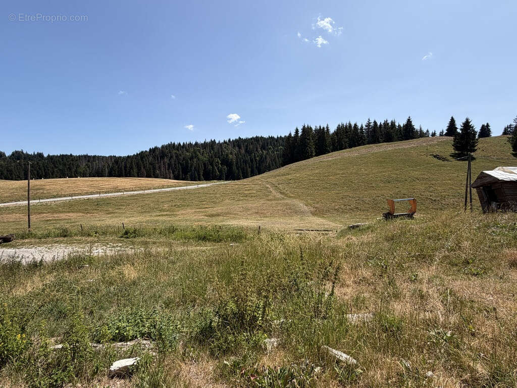 Haut-Jura, La Pesse,  Propriété agricole avec habitation à rénover, sur 7 hectares   Vue dégagée - photo 7