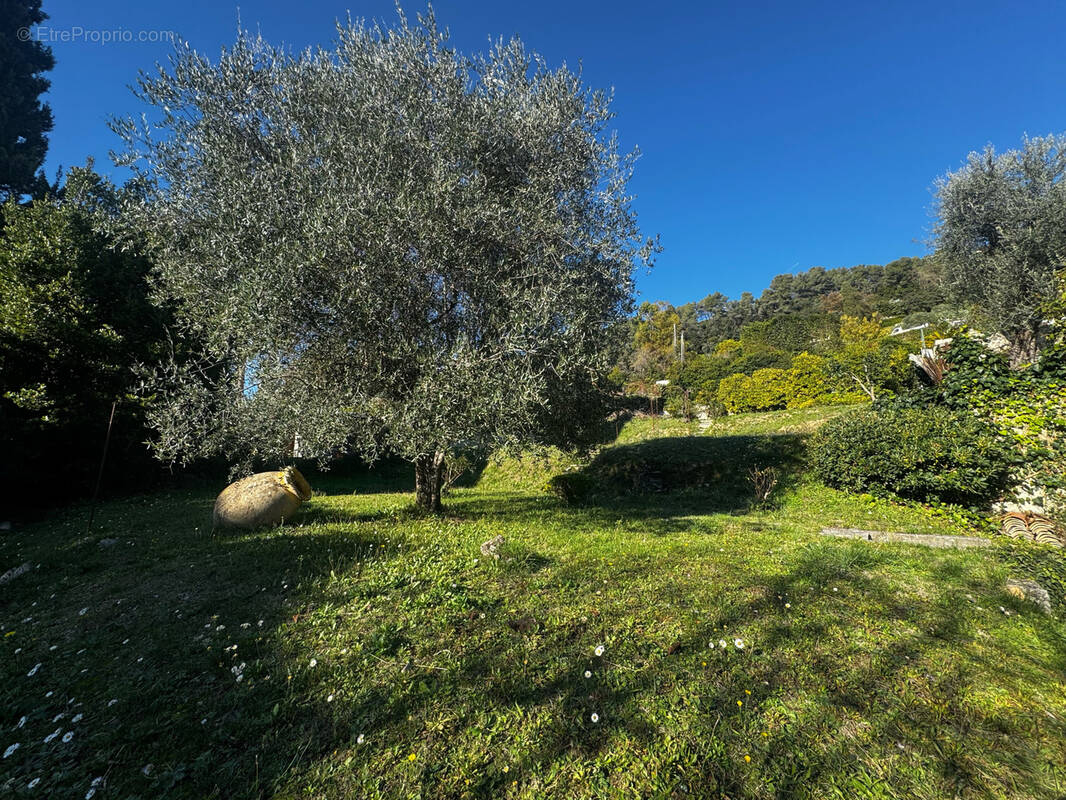 Terrain à LA COLLE-SUR-LOUP