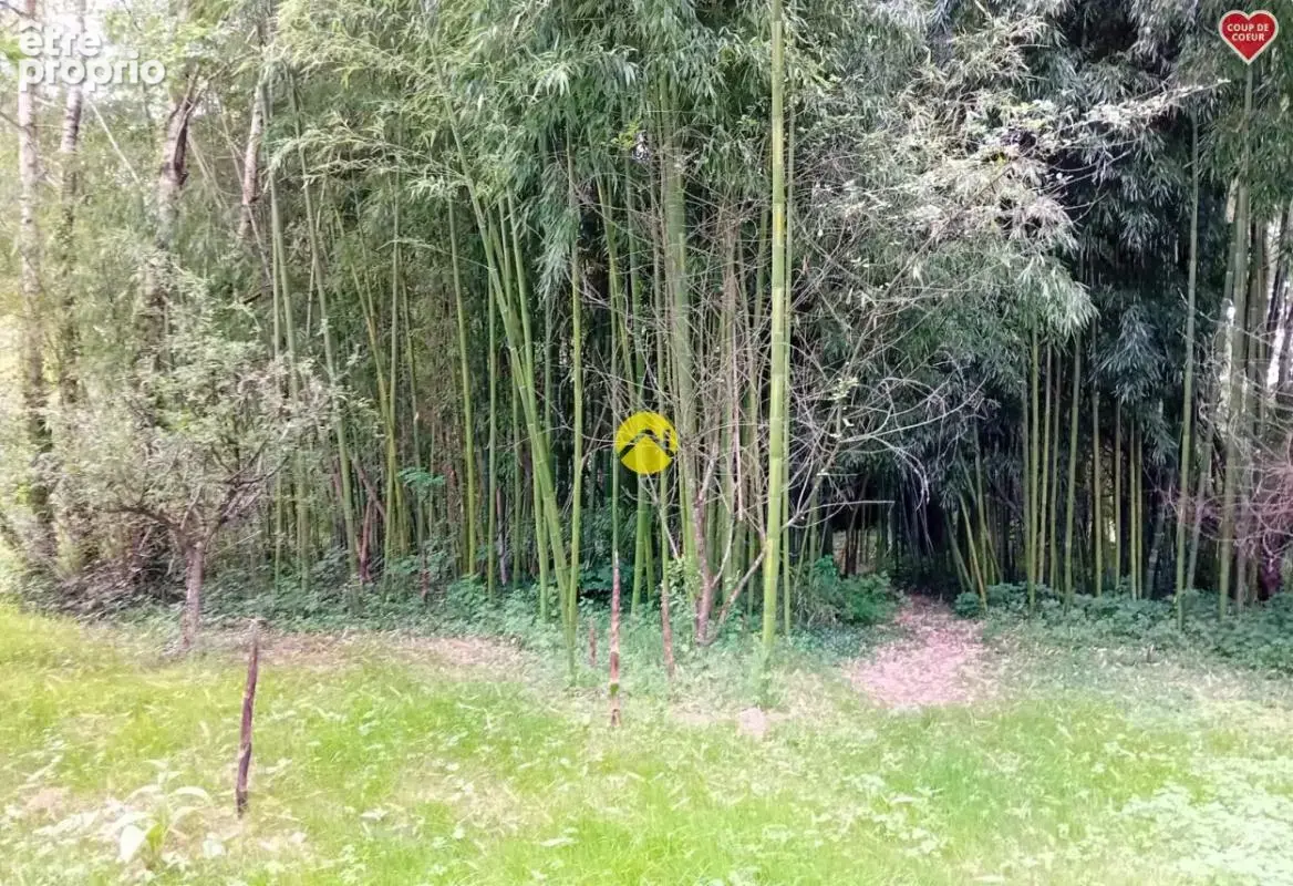 Et au milieu coule la rivière - photo 8