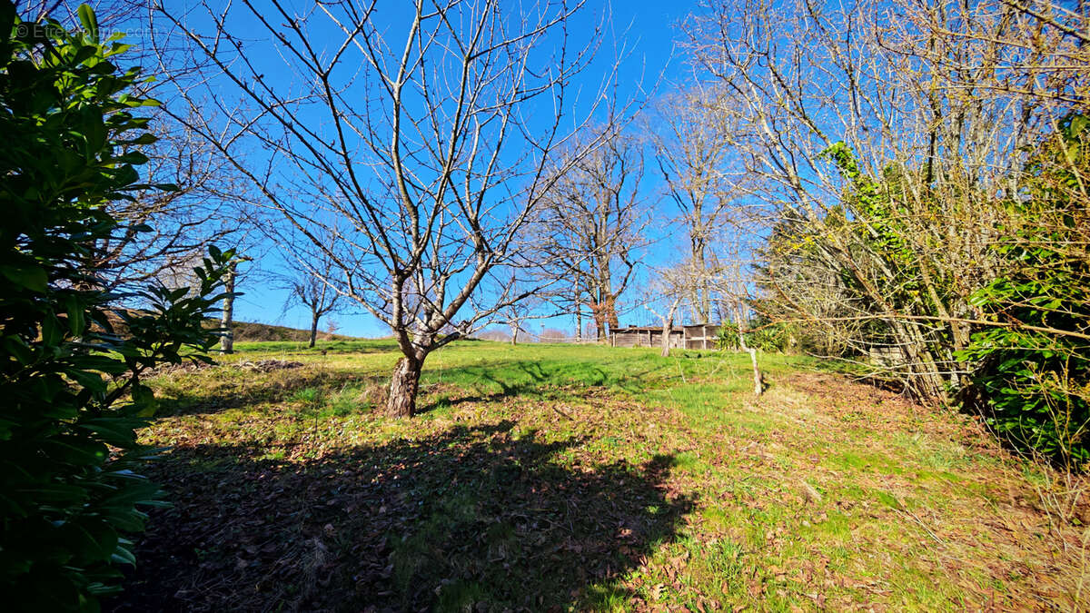 Maison à VICQ-SUR-BREUILH