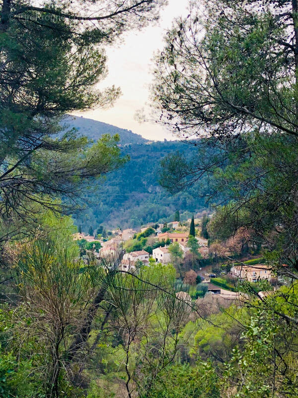 Terrain à TOURRETTE-LEVENS