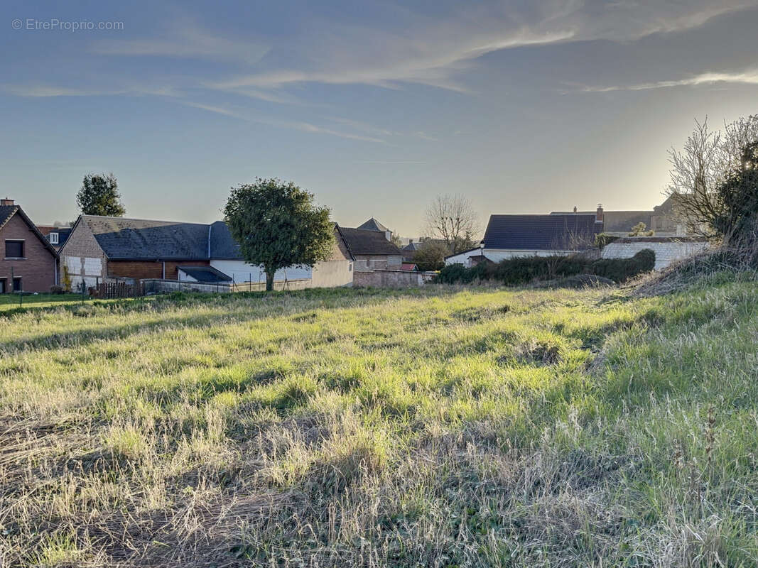 Terrain à SAINT-RIQUIER