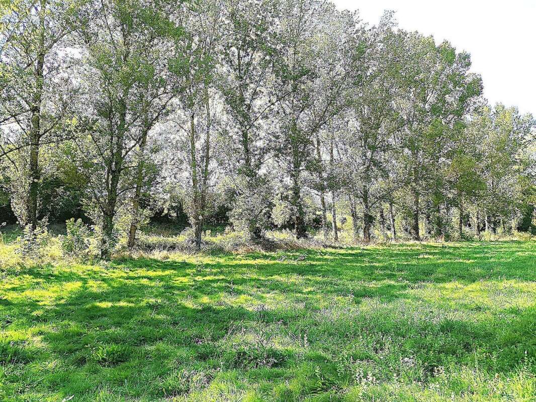 Ensemble immobilier rare, autonome et rentable - photo 14