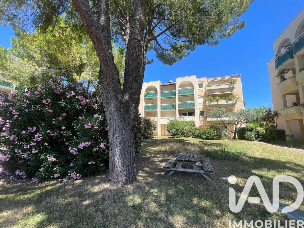 Photo 1 - Appartement à MONTPELLIER
