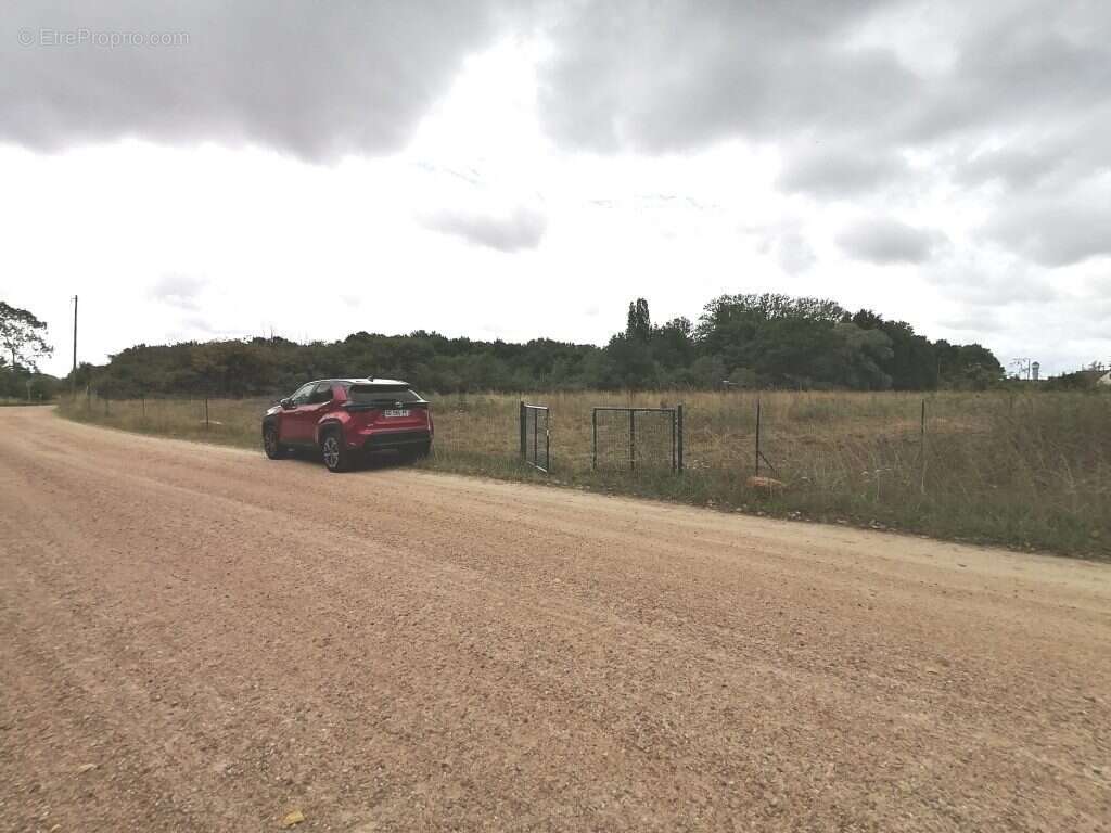 Terrain à SAINT-BENOIT-SUR-LOIRE