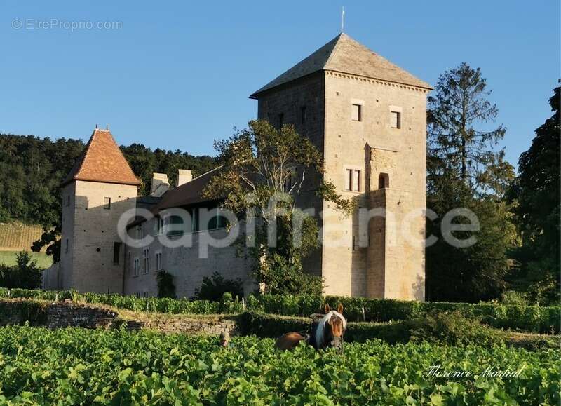Maison à GEVREY-CHAMBERTIN