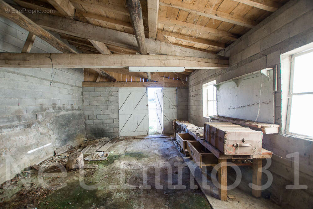 Maison à PUYLAURENS