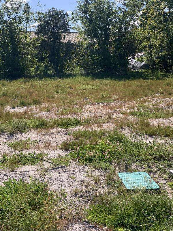 Terrain à BELIN-BELIET