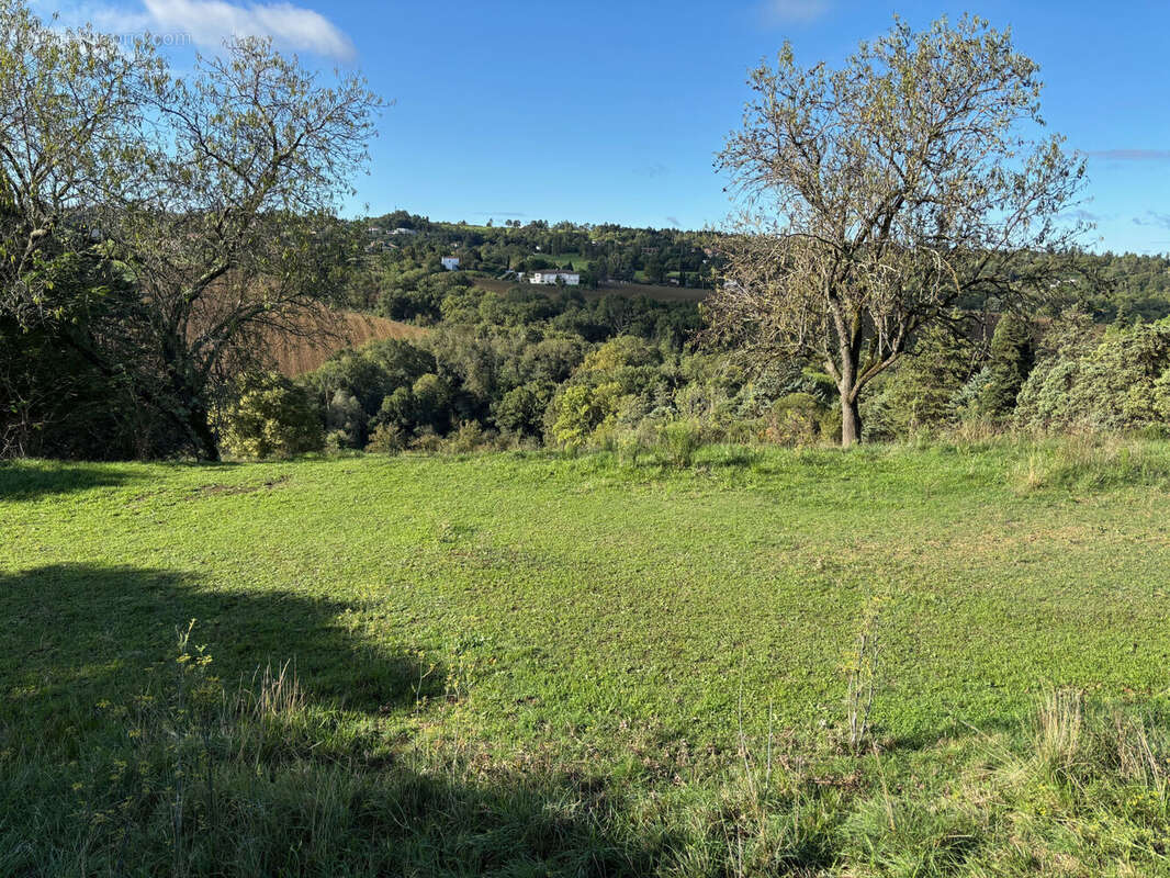 Photo 3 - Terrain à TOULOUSE