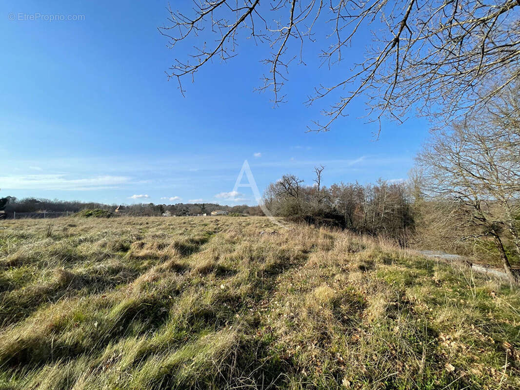Terrain contructible - 2156 m2 - photo 2
