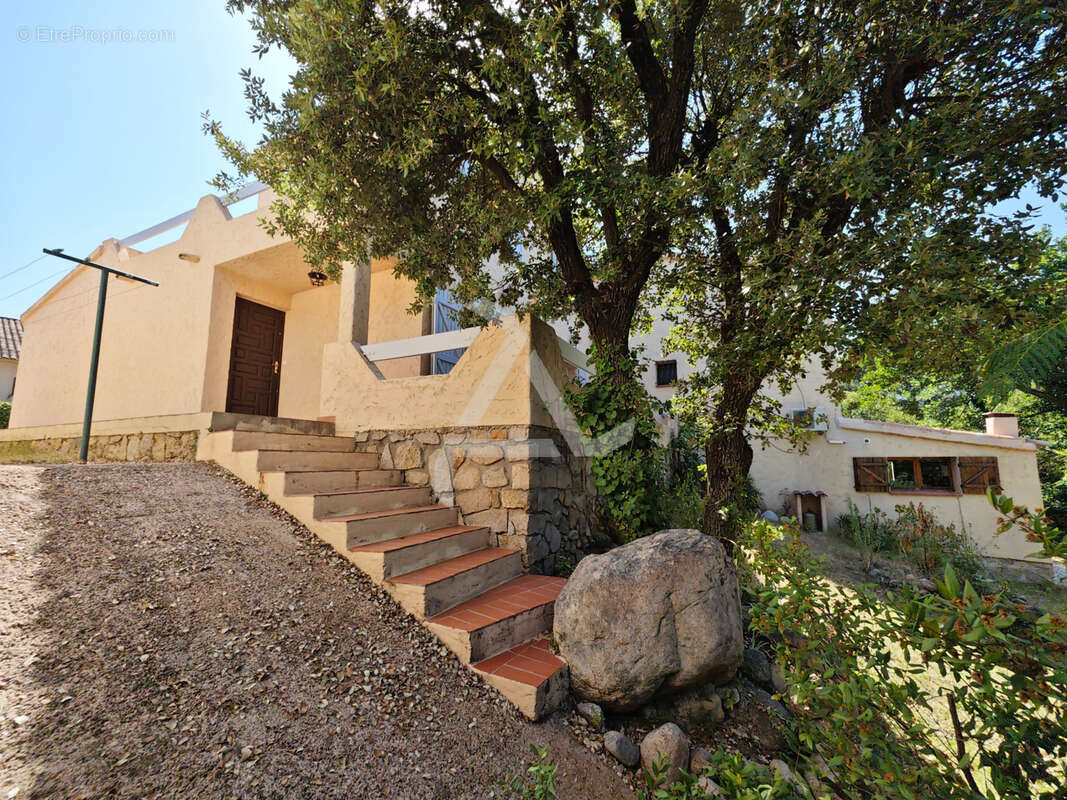 Maison à ZONZA