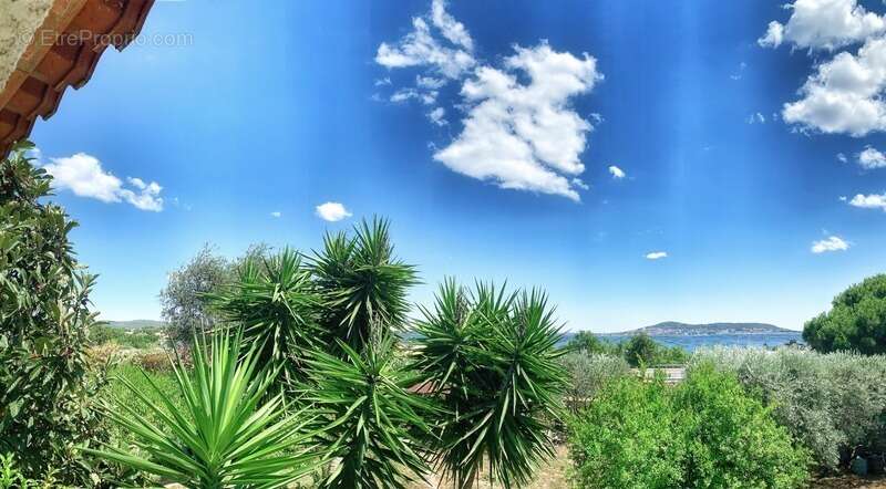 Bouzigues – Vue exceptionnelle sur le Mont Saint-Clair - photo 20