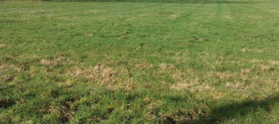 Terrain à LONLAY-LE-TESSON