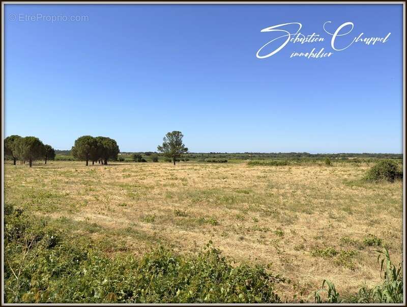 Terrain à ROUJAN