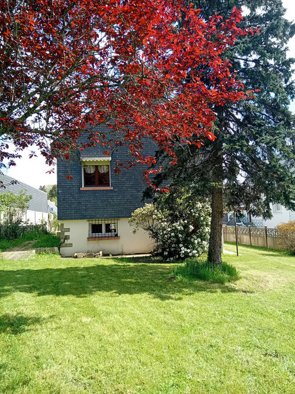 Maison dans impasse - photo 1