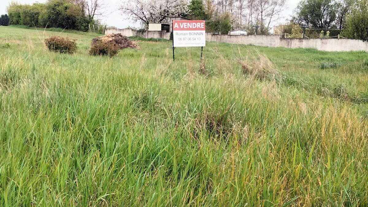 Terrain à NEUVILLE-DE-POITOU