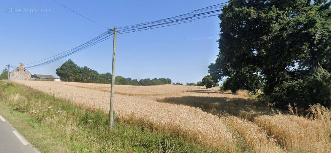 Terrain à BAGUER-PICAN