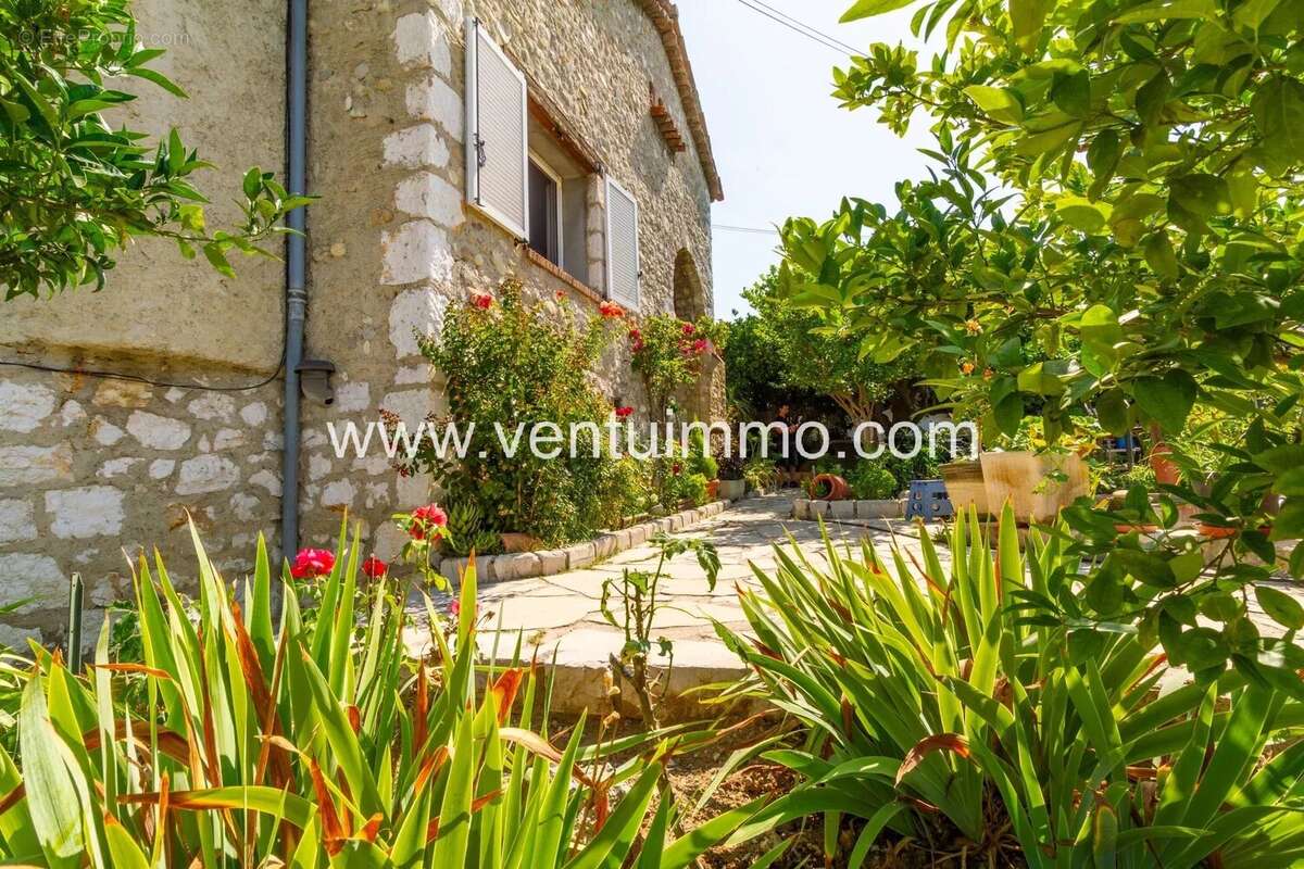 Une configuration unique – 3 espaces indépendants à Cagnes-sur-Mer - photo 17