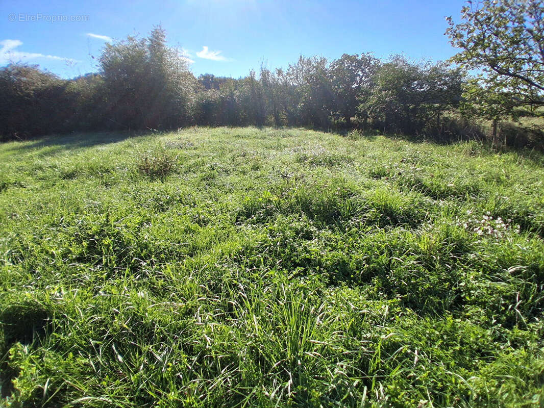 Terrain à LA GRIPPERIE-SAINT-SYMPHORIEN