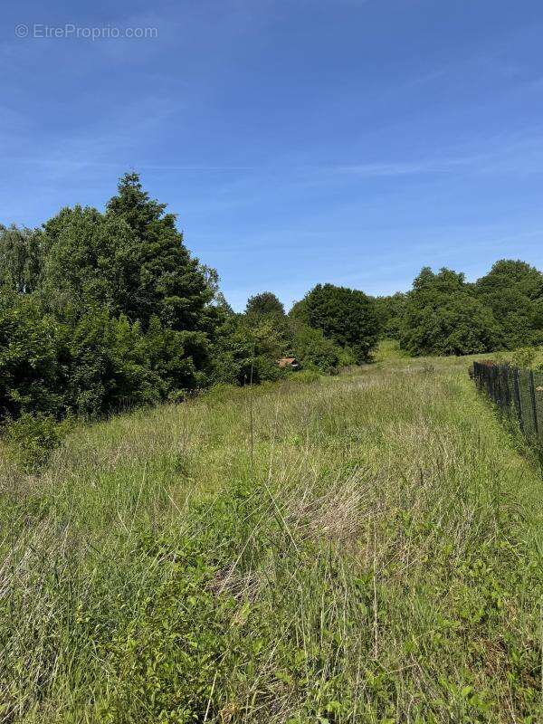 Terrain à SAINT-CYR-AU-MONT-D&#039;OR