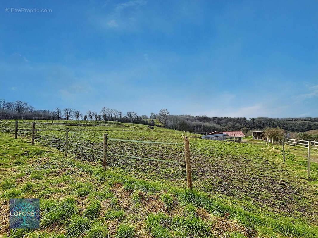 Maison à SAINT-BRICE-DE-LANDELLES