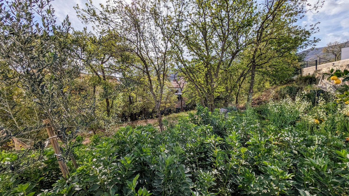 Maison à VILLELONGUE-DELS-MONTS