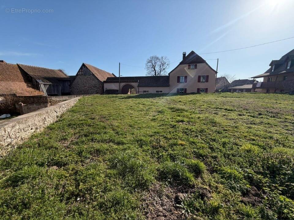 Terrain à GUNDOLSHEIM
