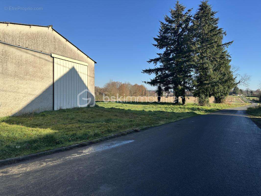 Sarlande   ///   hangar   ///   1,7 hectares de terrain - photo 2