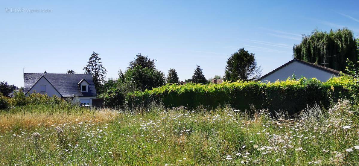Terrain à MARQUION