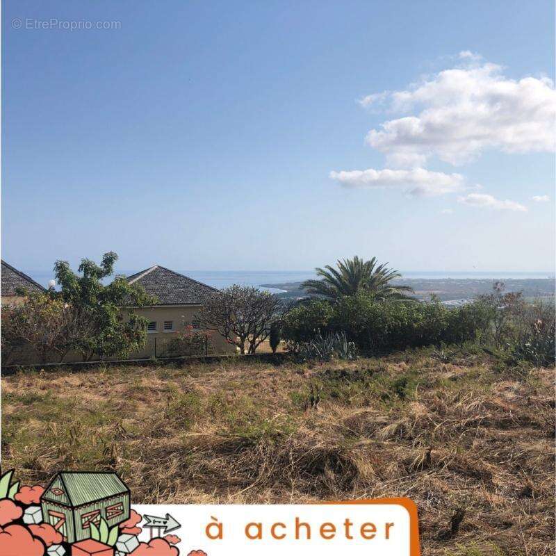 Terrain à SAINT-PAUL