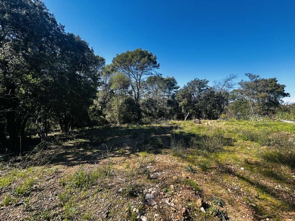 Terrain à LE THORONET