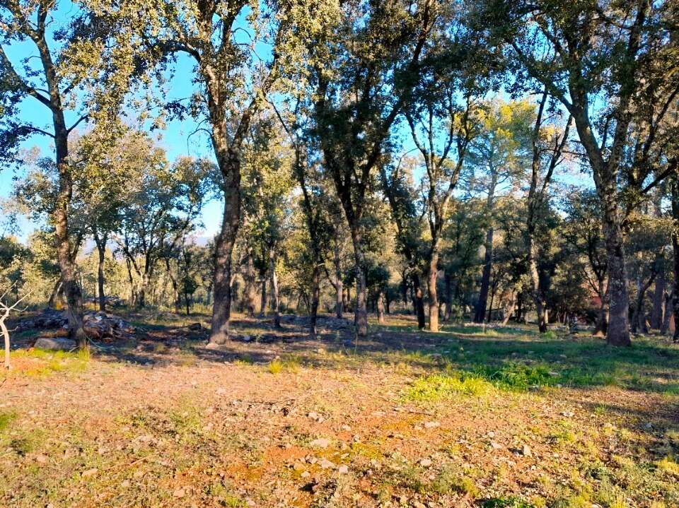 Terrain à LE THORONET